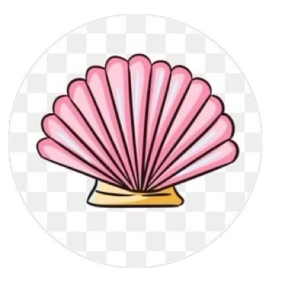 cshellsbycshore